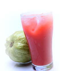 Manufacturers Exporters and Wholesale Suppliers of Guava Pulp Hyderabad Andhra Pradesh